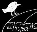About the Project