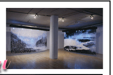 installation view